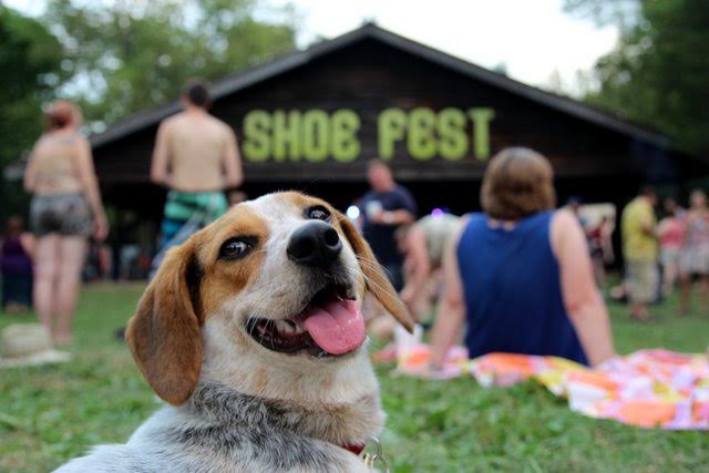 A Dog's Eye View Of Shoe Fest
