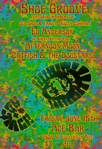 Preview: Shoe Groove, Ed Anderson, Afternoon Moon & Catfish & The Dogstars @ Ace Bar 6/14/12